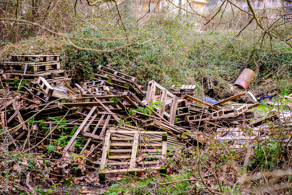 Abandoned wooden pallets in an illegal garbage dump in Pontevedra, Galicia (Spain)