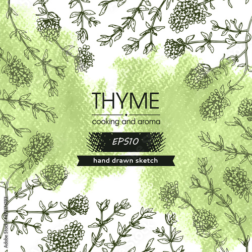 Background filled with twig of thyme with leaves and flowers and with empty circle inside.