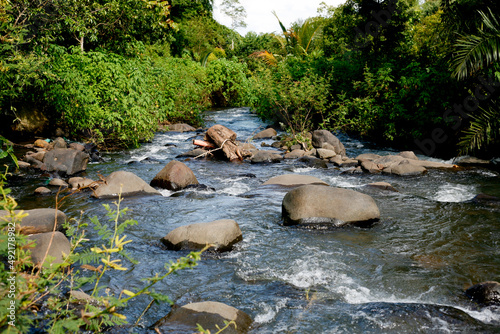 Forest river in eastjava, Indonesia.