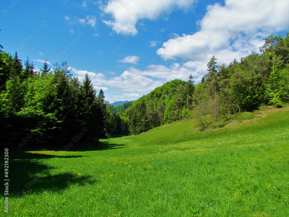 Bright green valley surrounded by woods in pre-alpine Slovenia on clear blue spring day