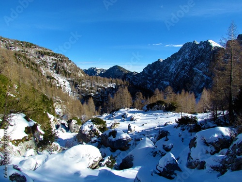 Scenic winter view of snow covered mountains above Krma valley in Triglav national park in the Julian Alps Gorenjska, Slovenia covered in larch forest