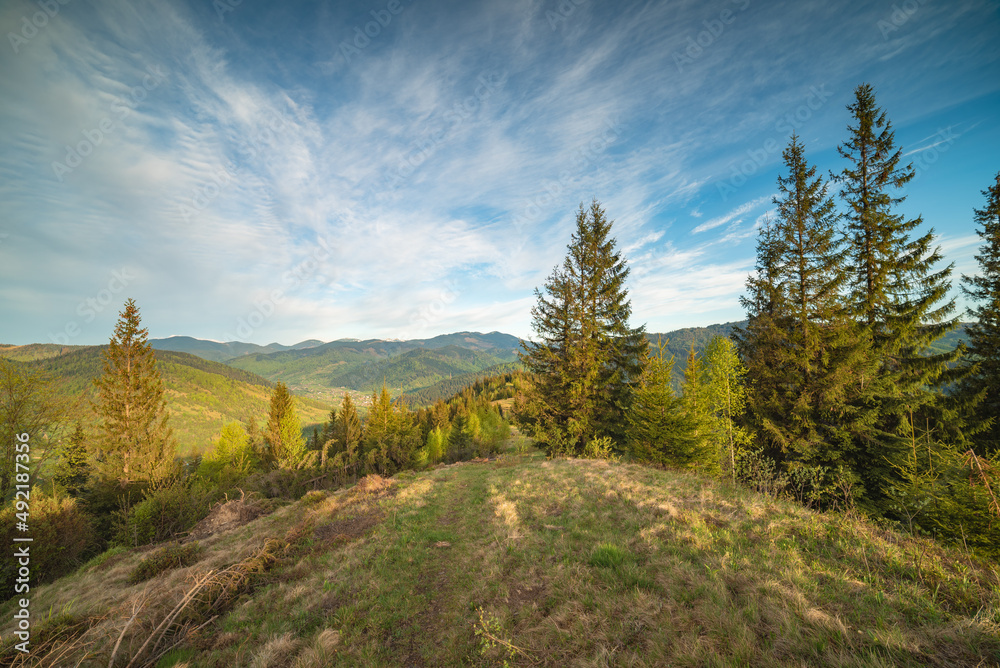 Wild alpine mountain valley