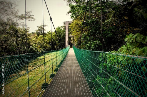 Fototapeta Naklejka Na Ścianę i Meble -  Straight view of long bridge located in reserve jungle in Kuala Lumpur Malaysia.