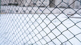snow covered wire mesh winter background