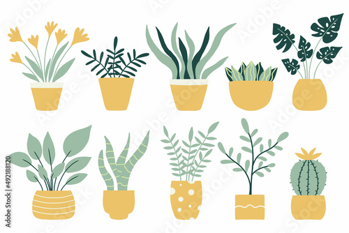 A set of trendy potted plants for the home. Various houseplants isolated on white background. Vector illustration in flat style.