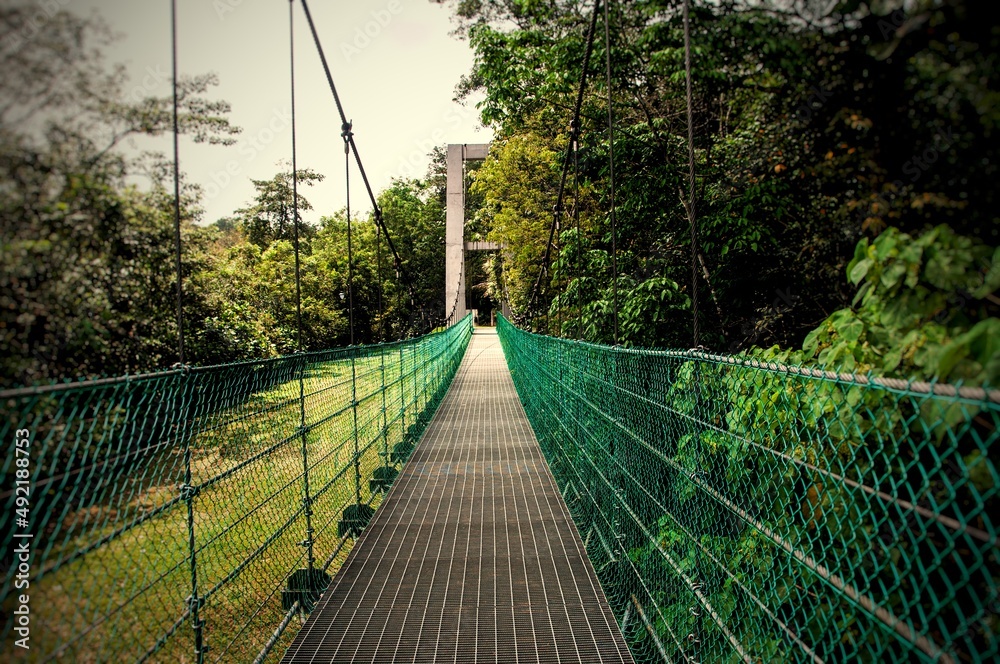 Straight view of long bridge located in reserve jungle in Kuala Lumpur Malaysia. Straight view of long bridge located in reserve jungle in Kuala Lumpur Malaysia.