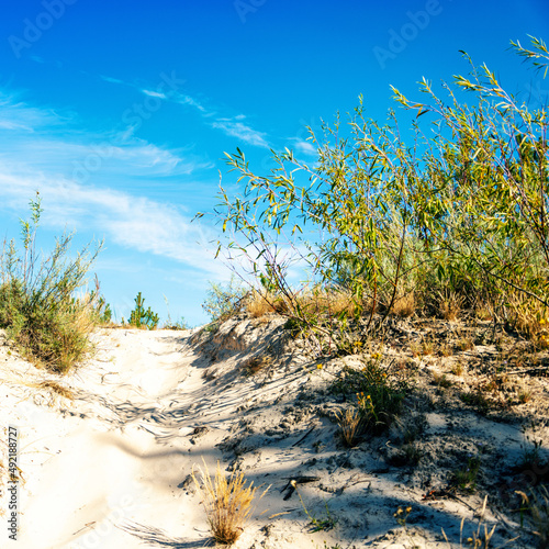 sand dunes and grass on blue sky background square