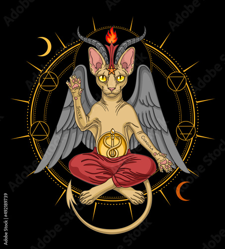 Sphynx cat in baphomet appearance.  Solve Coagula - Latin words means "dissolve and coagulate".  Vector illustration in mystical style