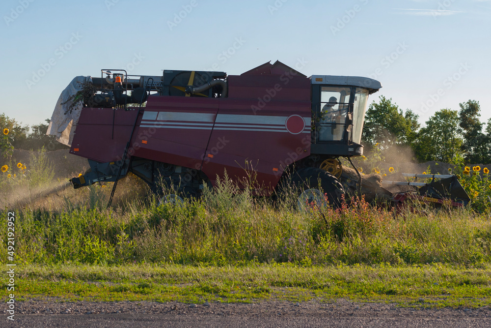 Obraz premium Harvesting. Harvest in the countryside. The combine mows the grain. Old machines. Cultivation of grain. Agricultural machinery in operation.