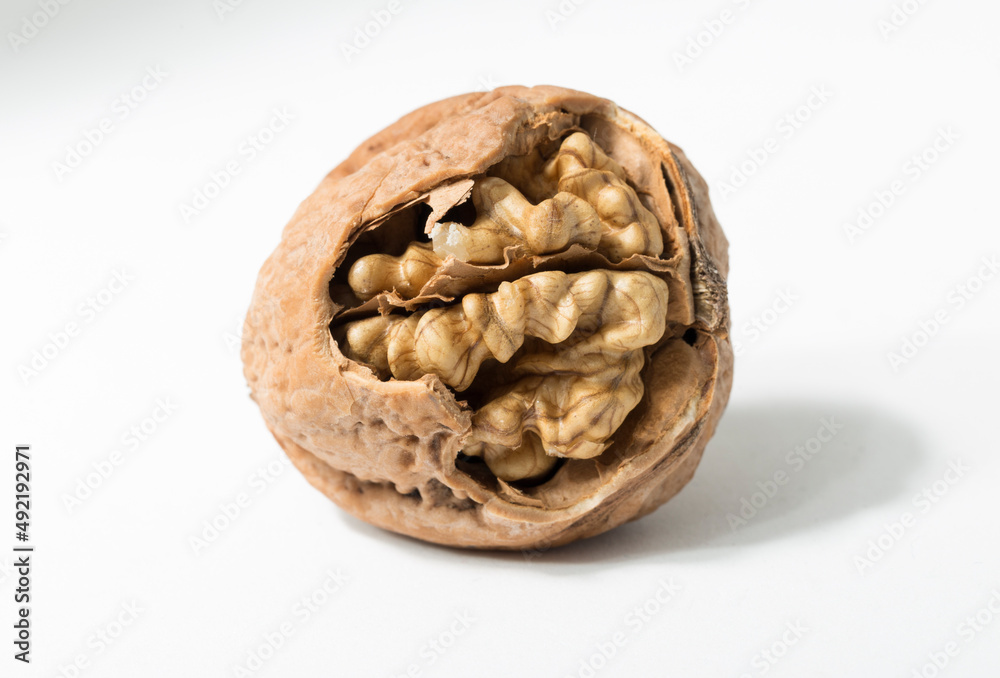 Walnuts are rounded, single-seeded stone fruits of the walnut tree. Cracking a nut. Walnuts are rounded, single-seeded stone fruits of the walnut tree. Cracking a nut.