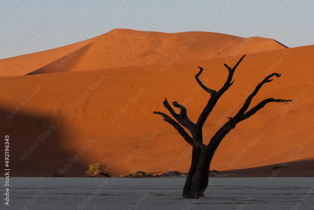 Petrified dead tree silhouette against red dunes in Deadvlei