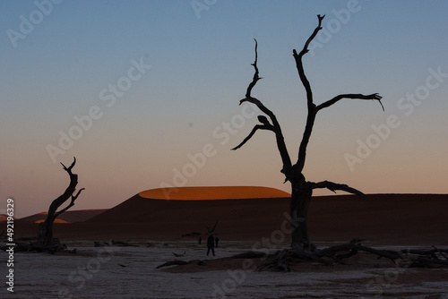 Petrified dead trees silhouette against red dunes in Deadvlei