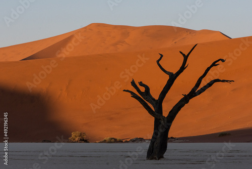 Petrified dead tree silhouette against red dunes in Deadvlei