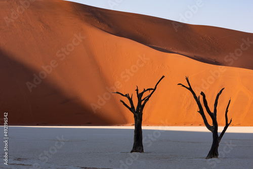 Two petrified dead trees silhouette on right against red dunes in Deadvlei
