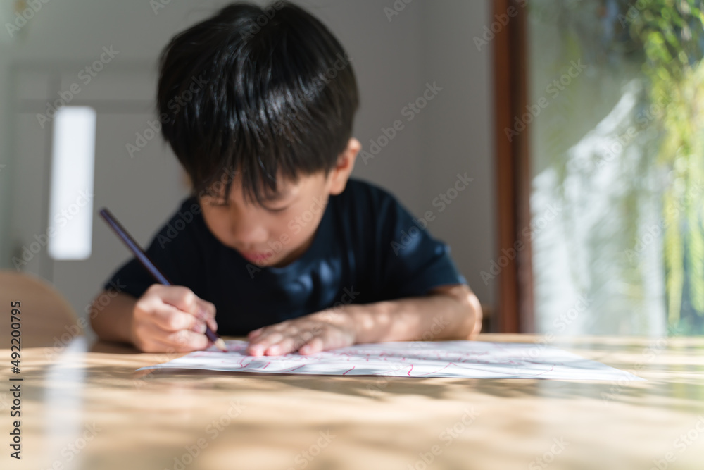 Asian boy doing his homework, drawing and painting picture Asian boy doing his homework, drawing and painting picture