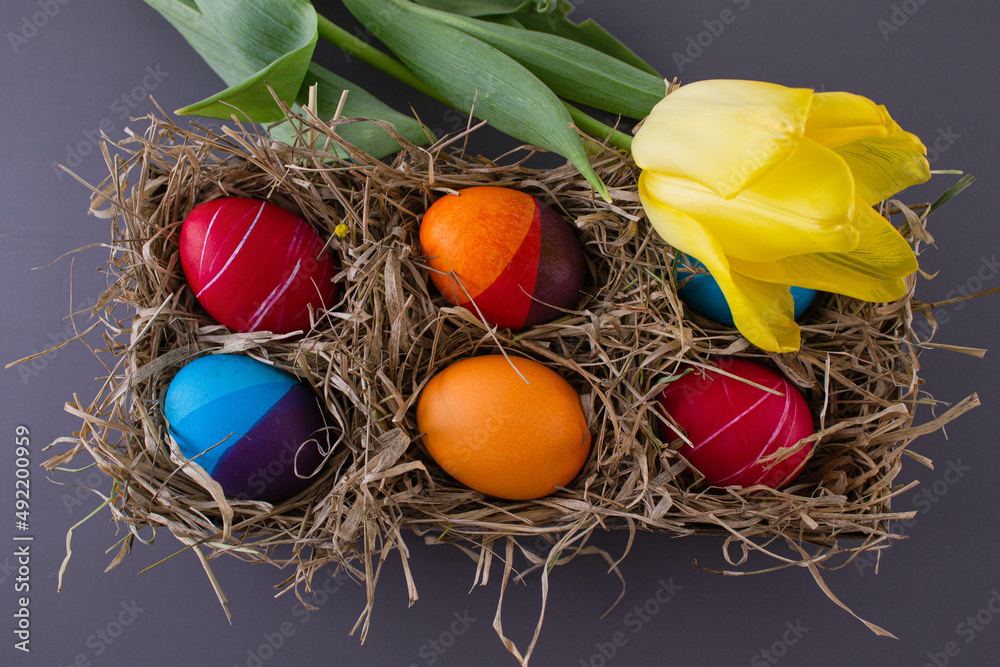 Easter eggs. Festive decoration. Easter. Celebration. Bright holiday. Eggs on a gray background. Multi-colored eggs on a gray background. Easter eggs. Festive decoration. Easter. Celebration. Bright holiday. Eggs on a gray background. Multi-colored eggs on a gray background.