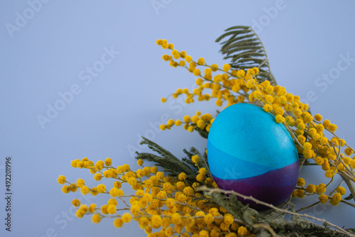 Easter eggs. Festive decoration. Easter. Celebration. Bright holiday. Eggs on a blue background. Multi-colored eggs on an orange background.