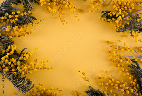 Mimosa on a yellow background. Background. Yellow background. Flowers on a yellow background. Place for an inscription.