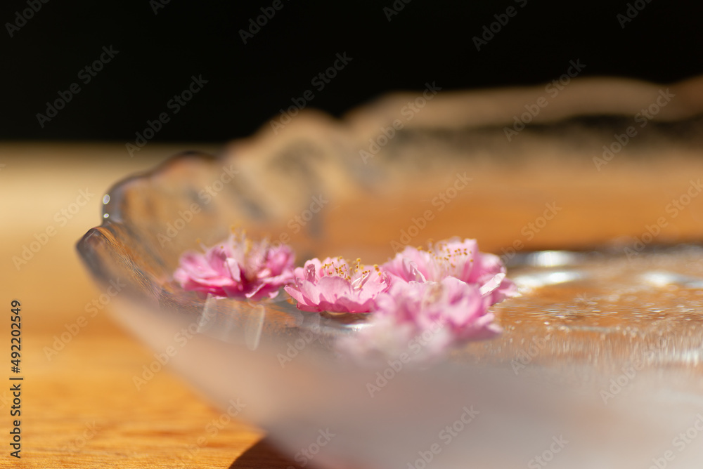 水に浮かぶ梅の花 水に浮かぶ梅の花