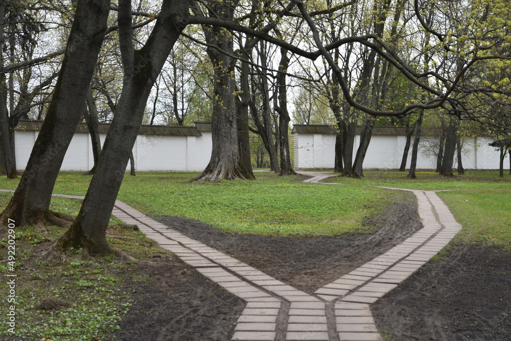 Obraz premium path in the park