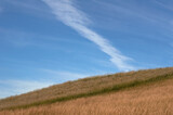草原と青い空　熊本県南小国町にあるパワースポット「押戸石の丘」
