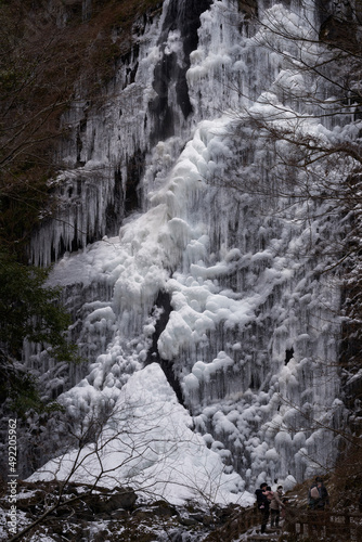 凍結してツララのできた美しい滝。愛媛県東温市にある白猪の滝の氷瀑。