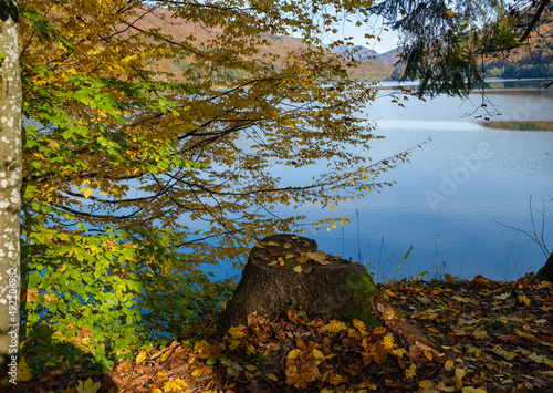 Forest meadow on shore of picturesque lake. Vilshany water reservoir on the Tereblya river, Transcarpathia, Ukraine. Beautiful autumn day in Carpathian Mountains. photo