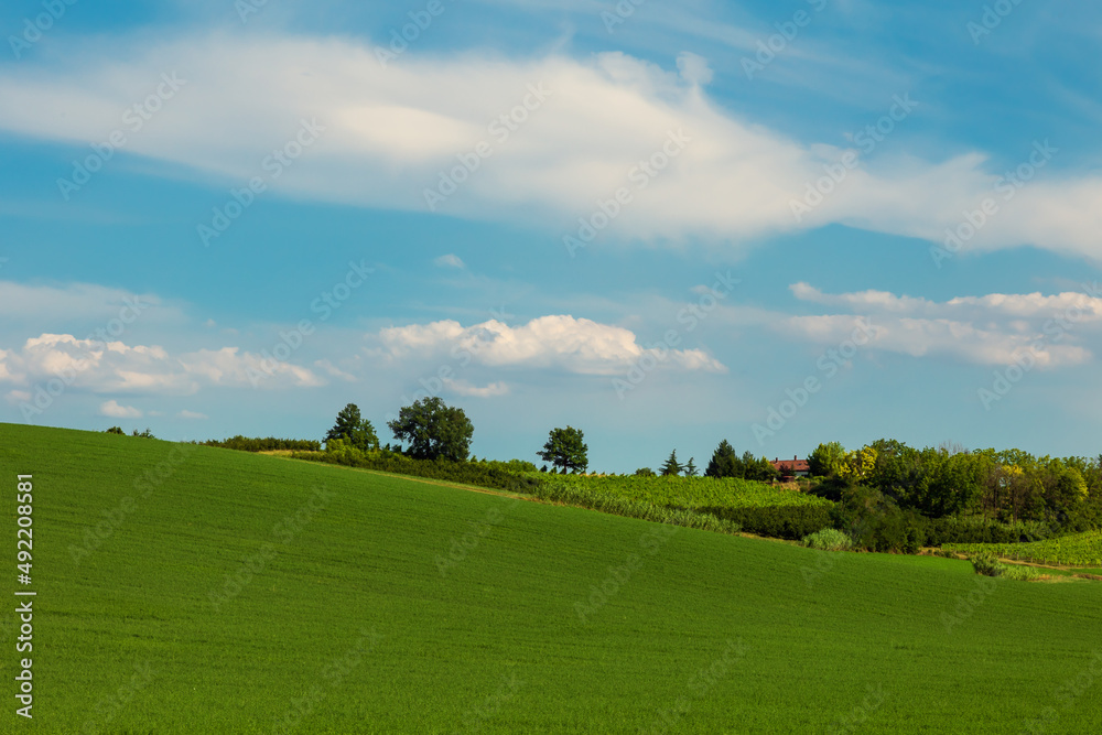 Paesaggio del Monferrato