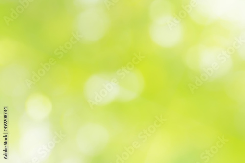 木漏れ日がやわらかでキラキラ光る美しいパステルグリーンの背景 © hikari_stock