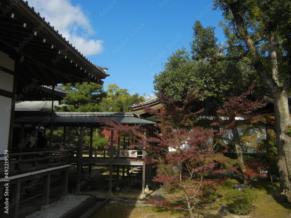 Connecting corridors and autumn leaves in the precincts of Daikaku-ji Temple at Saga in Kyoto City in Japan 日本の京都市嵯峨にある大覚寺境内の渡り廊下と紅葉