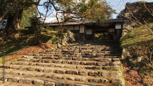 The Akizuki Castle