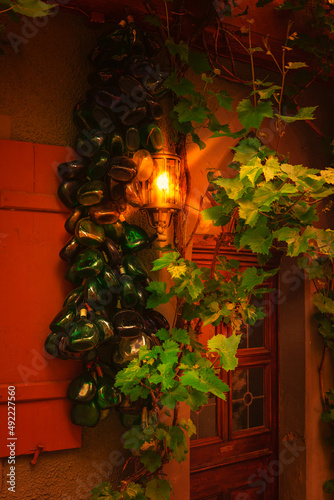 Porch of abandoned building overgrown with grapevine and fresh green leaves with hanging ripe grape bunches. Old brown wooden door and stone stairs of dilapidated house in European city