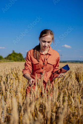 Woman caucasian technologist agronomist with tablet computer in the field of wheat checking quality and growth of crops for agriculture. Agriculture and harvesting concept. © volody10