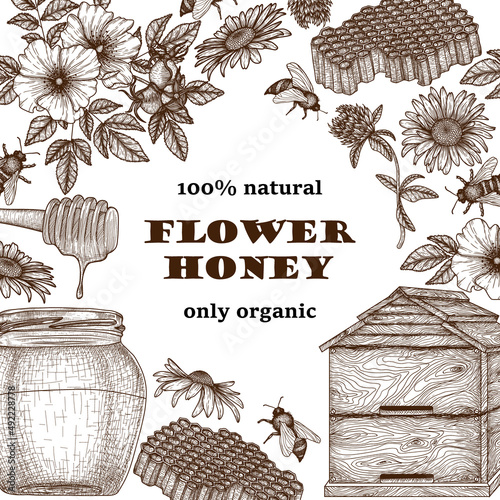 Vector graphic linear banner template. Honey jar, honey dipper, chamomile flowers, clover, wild rose, bees, honeycomb, beehive