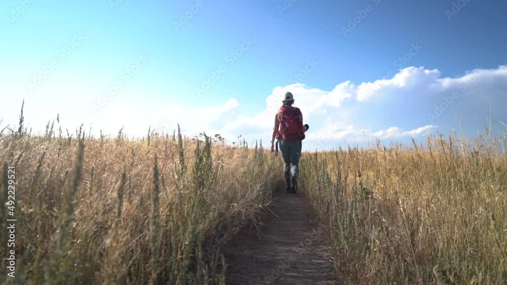 Back View of Female Hiker With Backpack Waling on Hiking Trail in Grassland Under Beautiful Sky on Sunny Day Back View of Female Hiker With Backpack Waling on Hiking Trail in Grassland Under Beautiful Sky on Sunny Day