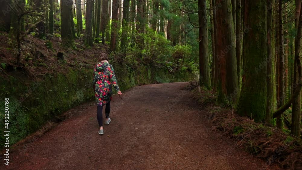 Woman walking on jungle gravel road sun shining through trees pan up Woman walking on jungle gravel road sun shining through trees pan up