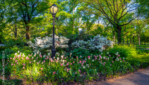 Central Park in spring with street lamp