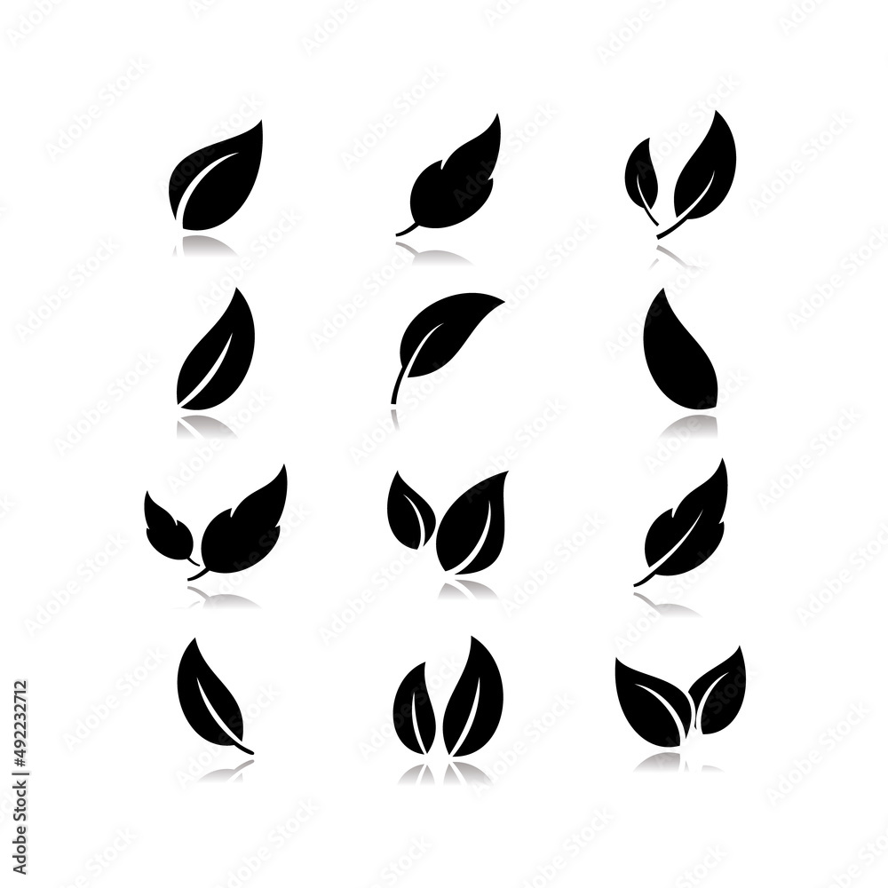 Set of leaf icon over white background. Vector illustration.