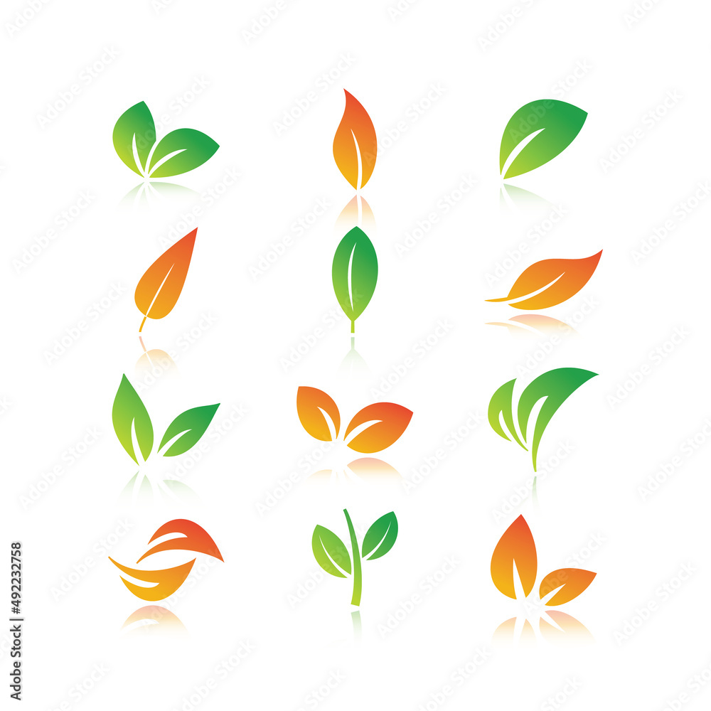 Set of nature leaf icon over white background. Vector illustration. Set of nature leaf icon over white background. Vector illustration.