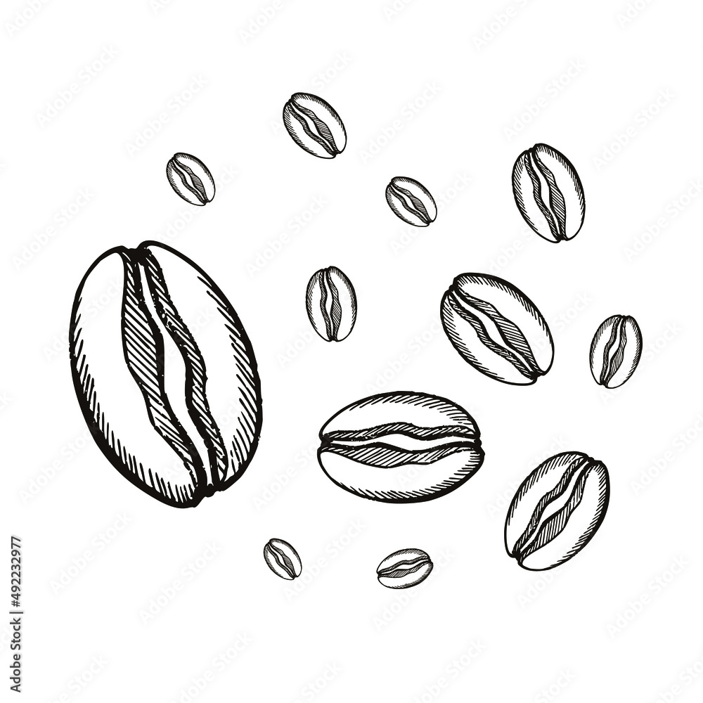 Coffee bean icon vector illustration template Coffee bean icon vector illustration template