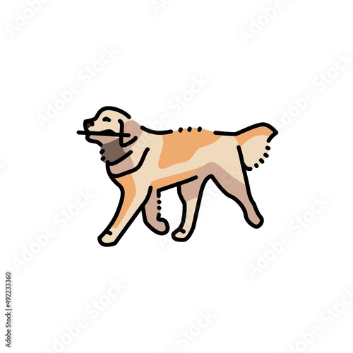 Golder retriever carries a stick color line icon. Pictogram for web page