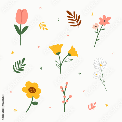 vector  illustration  flower botanical flower leaf. isolated background