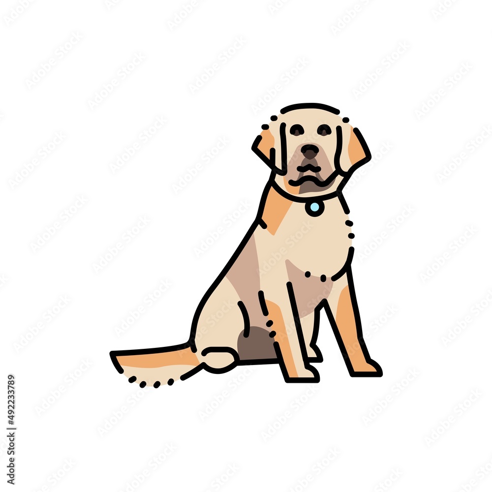 Sitting golden retriever adult color line icon. Pictogram for web page