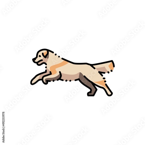 Golder retriever jumping color line icon. Pictogram for web page