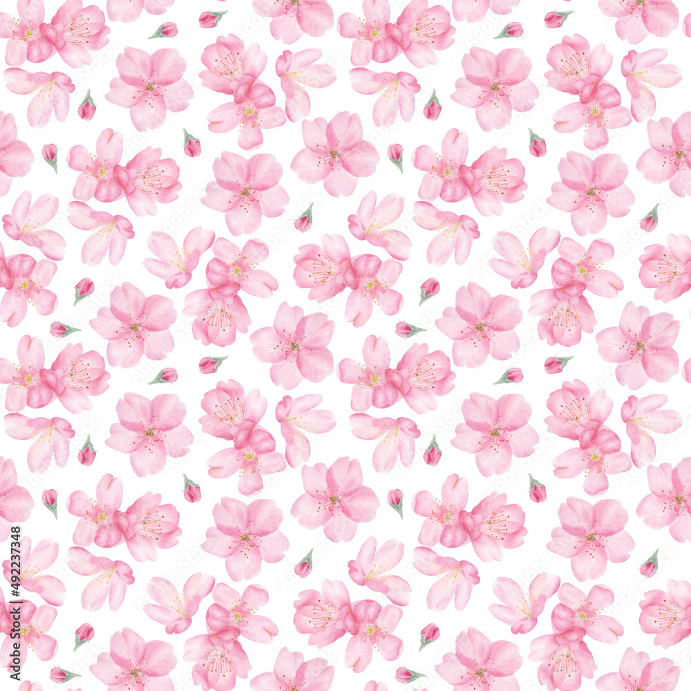 Watercolor seamless pattern with sakura blossoms on white background 
