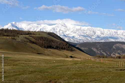 View of the North Chui mountain snow-covered ridge from the Kurai steppe. Gorny Altai  Kosh-Agachsky district  Russia