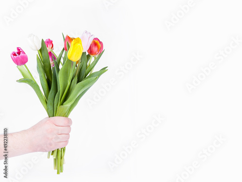 Man's hand holds a bouquet of tulips on a white background. Space for text. Postcard. Holiday. Women's Day. Valentine's Day. Mother’s Day. Copy space for a text