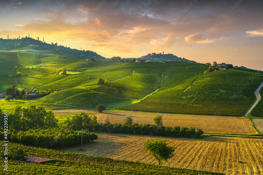 Langhe vineyards view, Barolo and La Morra, Piedmont, Italy Europe.