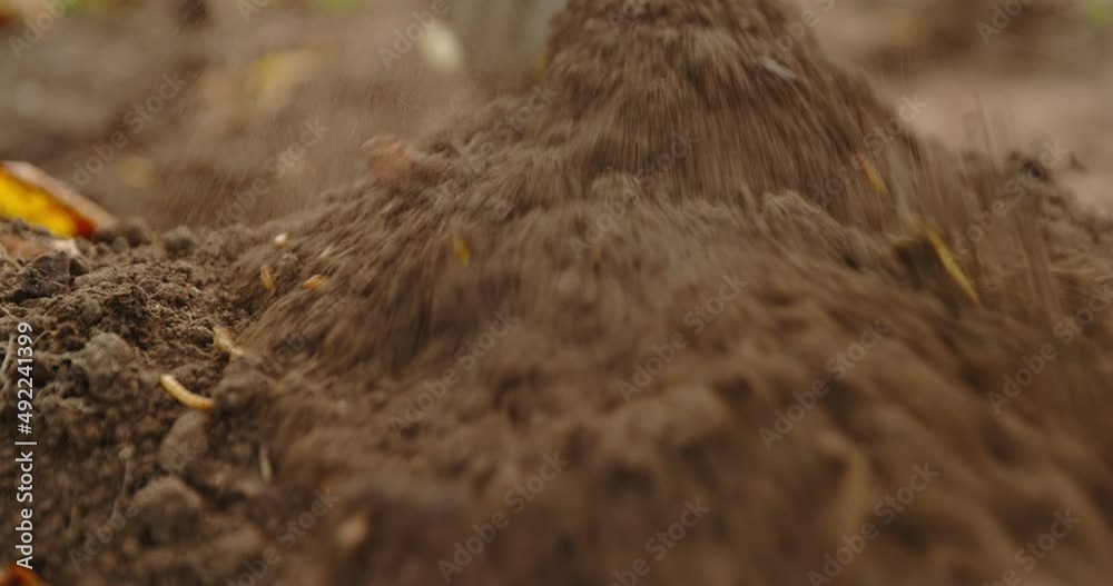 Burying skull and remains into the ground Burying skull and remains into the ground