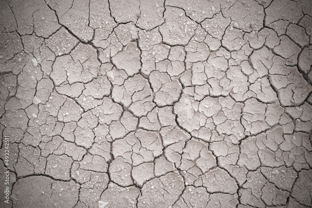 Full frame to terrain with arid climate. The surface of the land is cracked. crack soil ground texture. The natural texture of soil with cracks. Broken clay surface of barren dryland wasteland closeup Full frame to terrain with arid climate. The surface of the land is cracked. crack soil ground texture. The natural texture of soil with cracks. Broken clay surface of barren dryland wasteland closeup